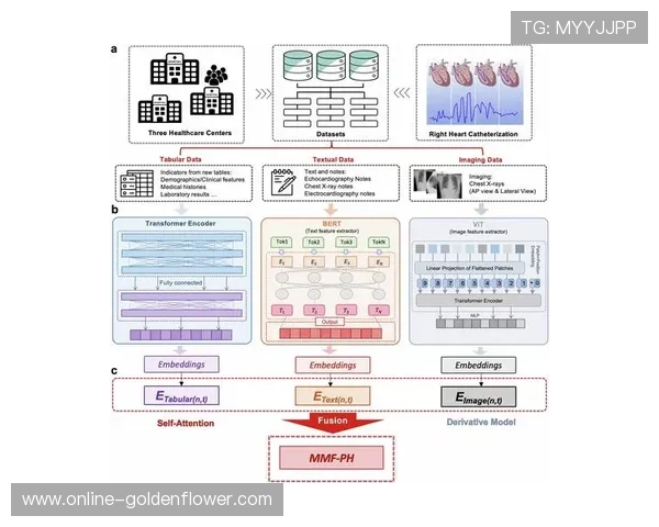 姚易大战揭示中国古代战略博弈的智慧与历史深度