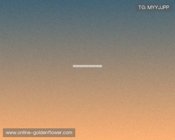 广州龙狮篮球队崛起之路与未来发展潜力分析